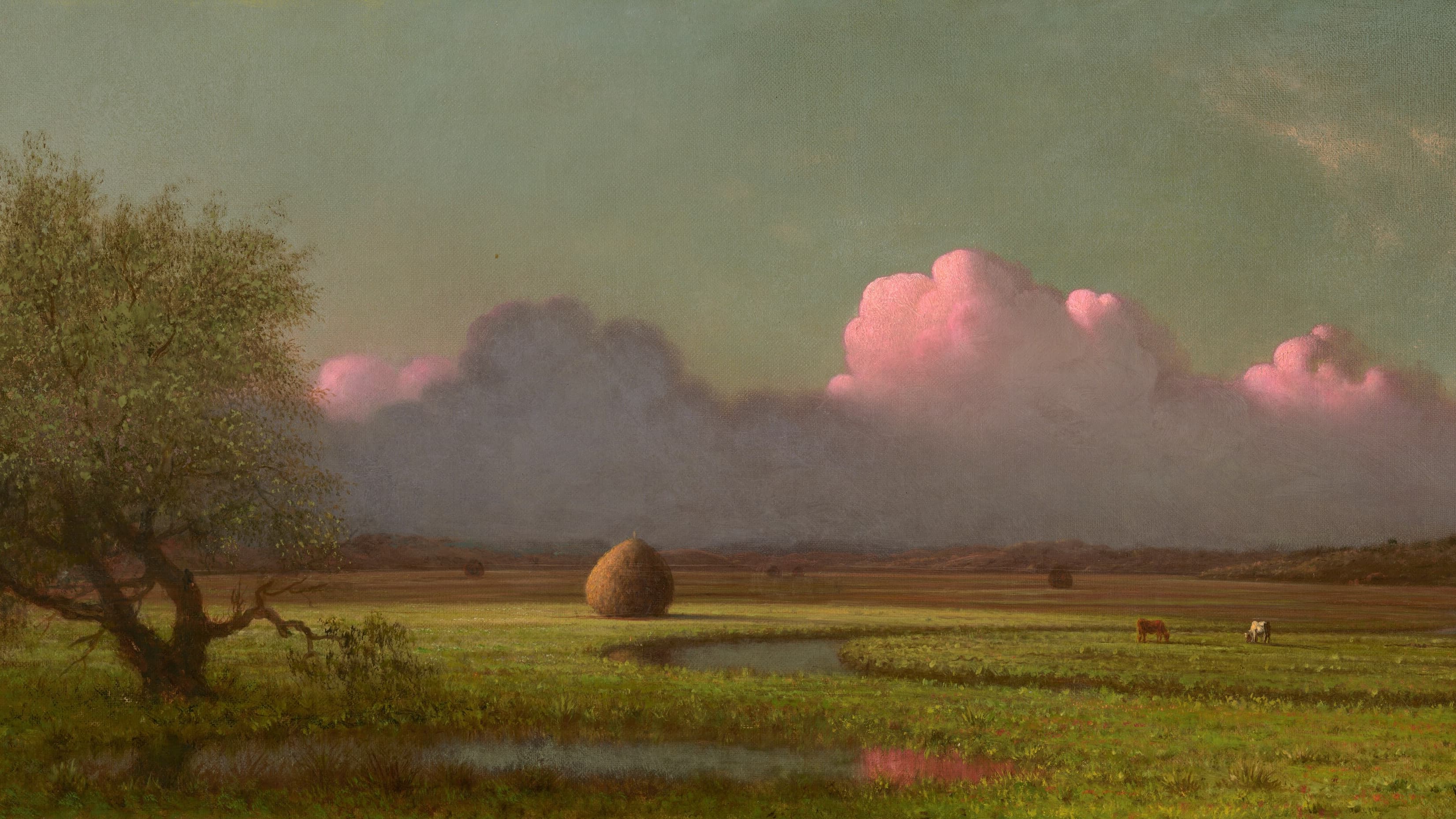 Orta Vadeli Program ve Yeşil Enerji Sektörü